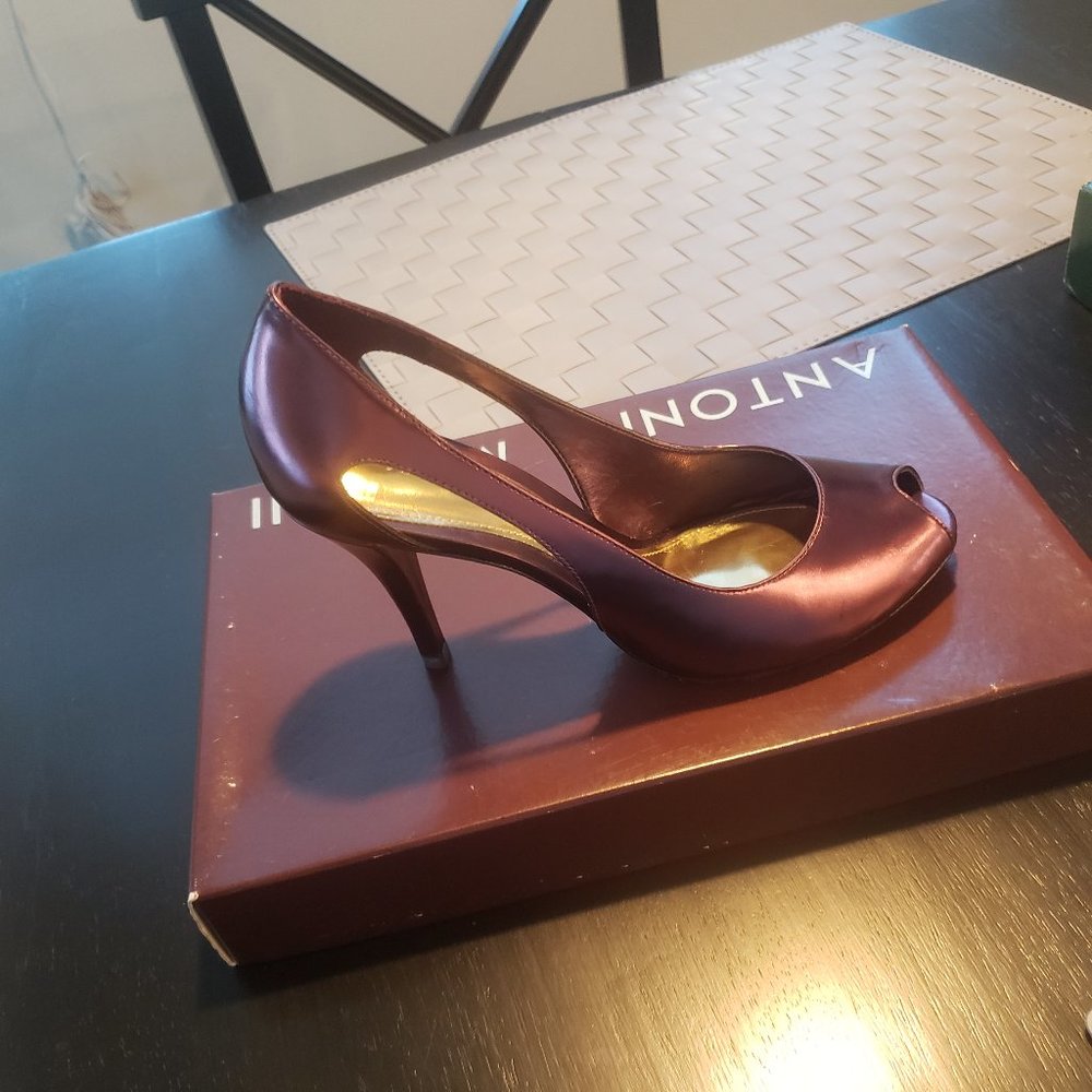 Antonio Melani Illusion Heel in Merlot Size 6.5